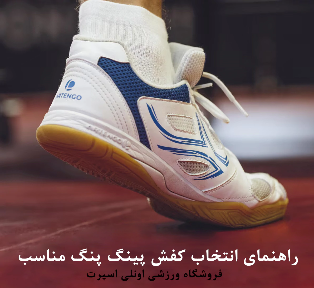 راهنمای انتخاب کفش پینگ پنگ مناسب - اونلی اسپرت