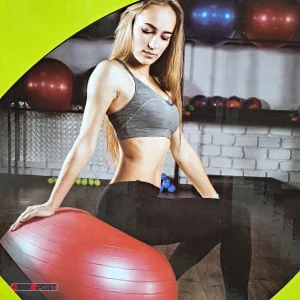 توپ جیمبال ساده 85-75 سانتیمتر + دستگاه تلمبه