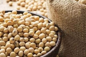 مصرف سویا در کاهش زوال عقل موثر است