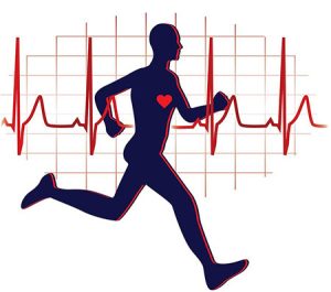 تاثیر ويژگيهاي تمرین بــر غلظت کورتیــزول بزاقی در بدمینتون بـازان نخبـه دختر