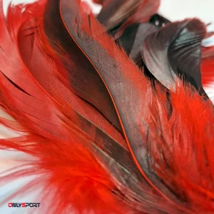 گوی پردار کیکبو مدل 001 Shuttlecock (اقساط) - Image 2